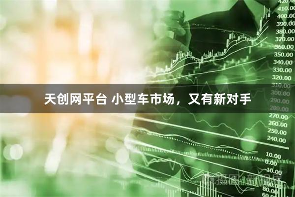 天创网平台 小型车市场，又有新对手