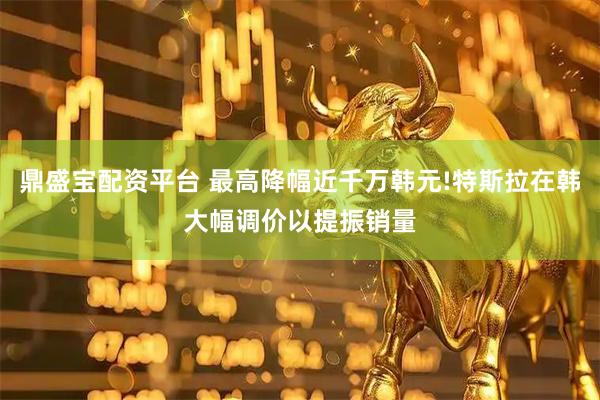 鼎盛宝配资平台 最高降幅近千万韩元!特斯拉在韩大幅调价以提振销量