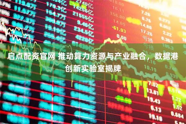 启点配资官网 推动算力资源与产业融合，数据港创新实验室揭牌