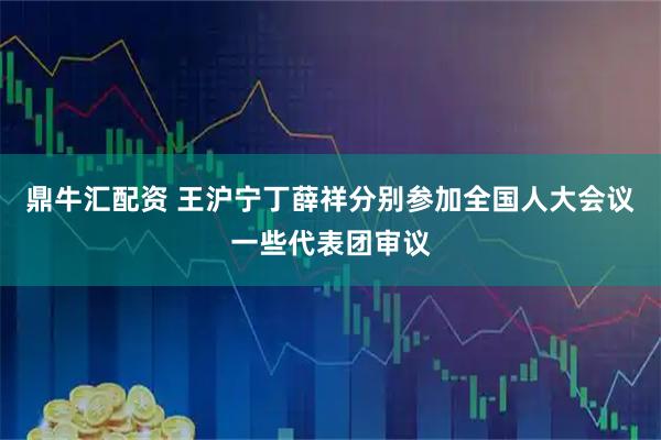 鼎牛汇配资 王沪宁丁薛祥分别参加全国人大会议一些代表团审议